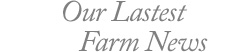 Our Latest Farm News